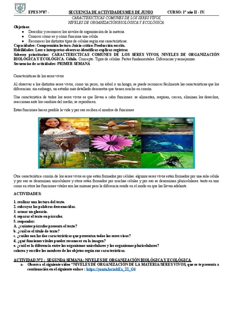 Unes Seres Vivos | PDF | Biología Celular) | Organismos