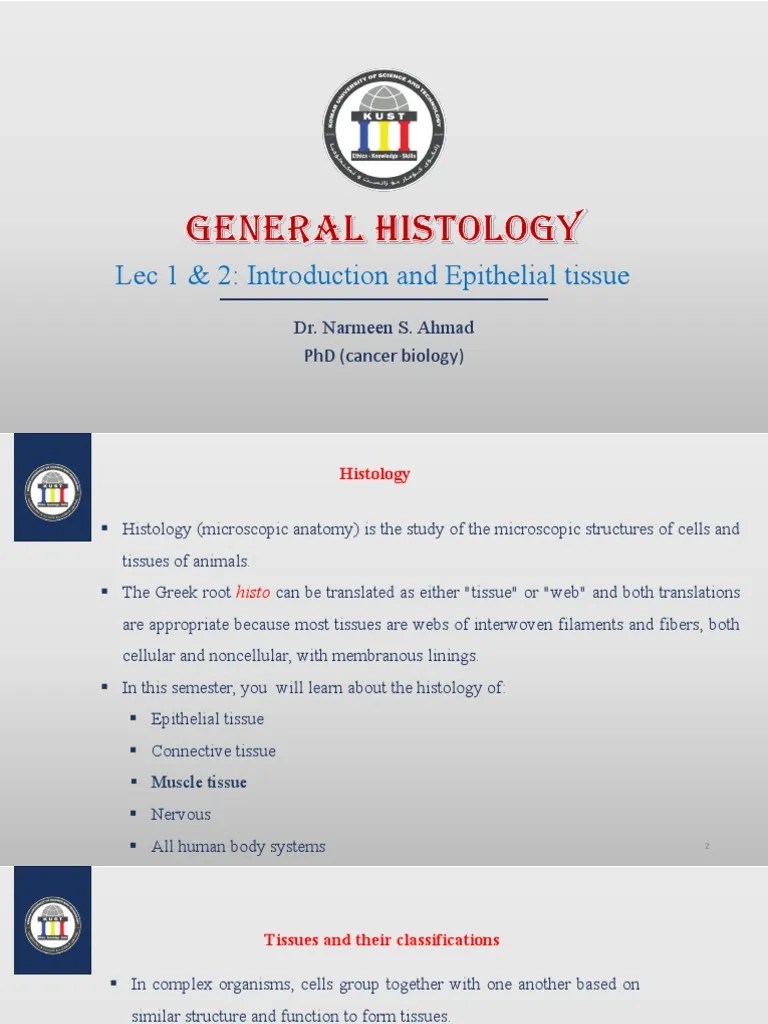 Histology Lec 1 & 2 | PDF | Epithelium | Tissue (Biology)