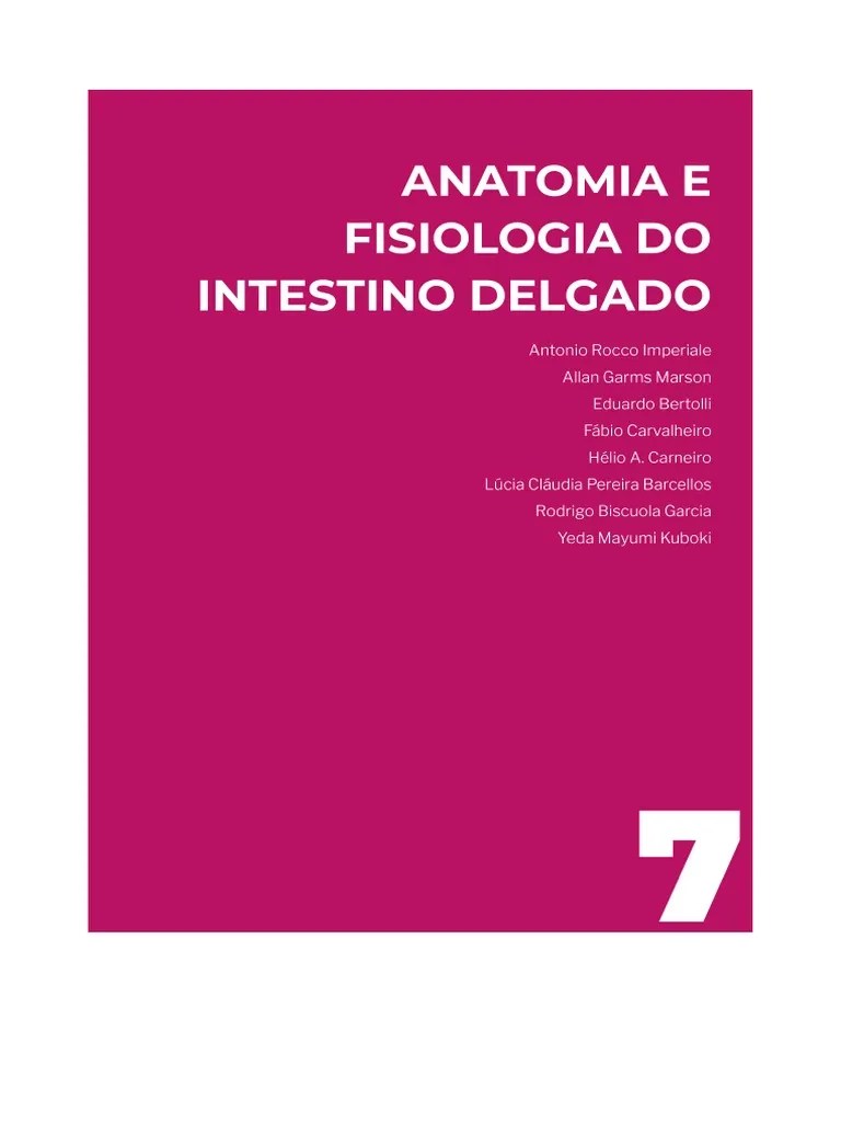 Anatomia E Subdivisões Do Intestino Delgado | PDF | Intestino Delgado ...