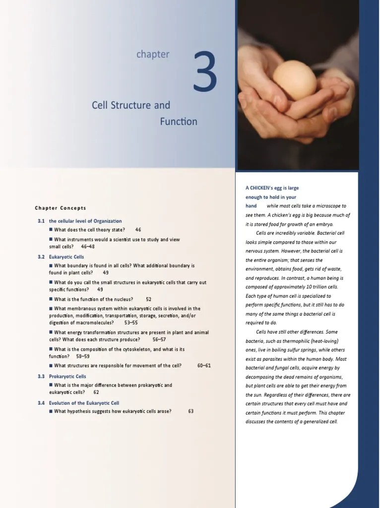 Cell Structure And Function | PDF | Endoplasmic Reticulum | Cell Nucleus