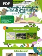 Ave Nacional De Nicaragua: Guardabarranco | PDF