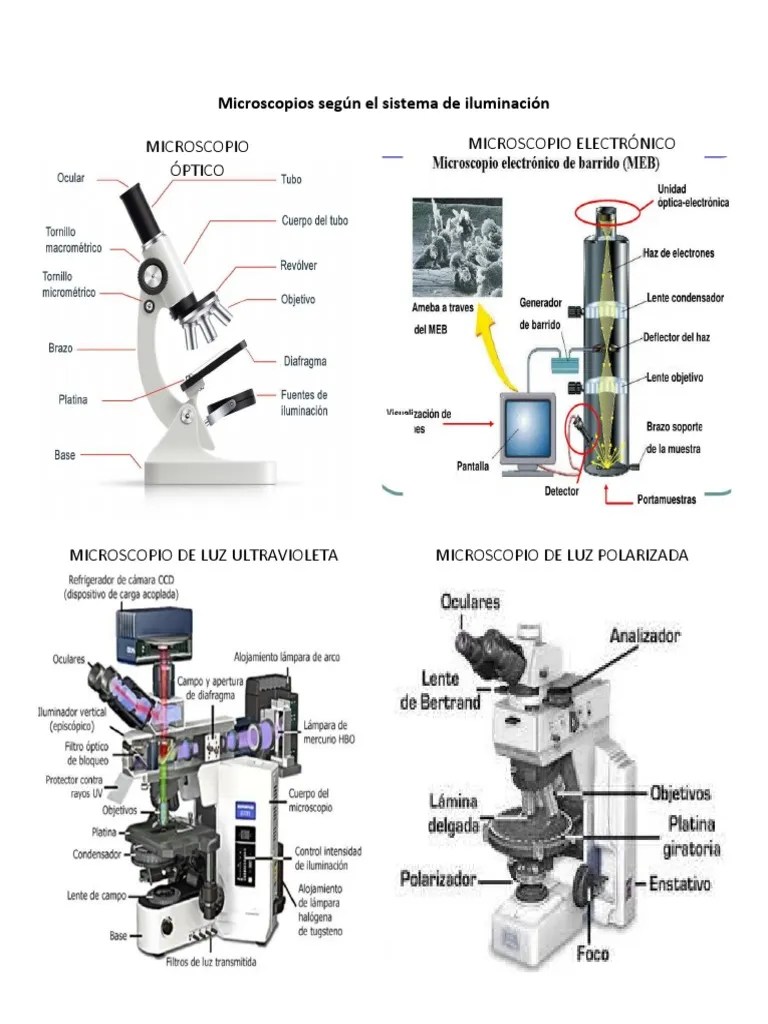 Tipos De Microscopios | PDF