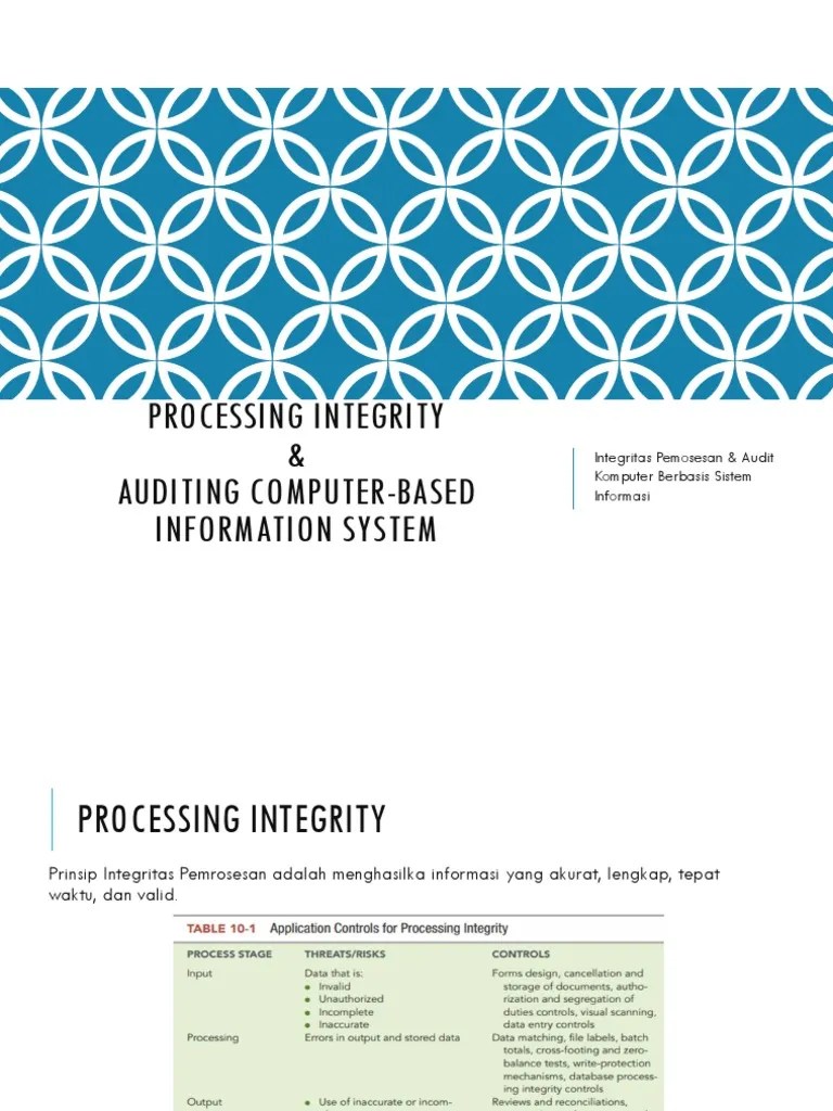 Processing Integrity & Auditing Computer-Based Information System | PDF