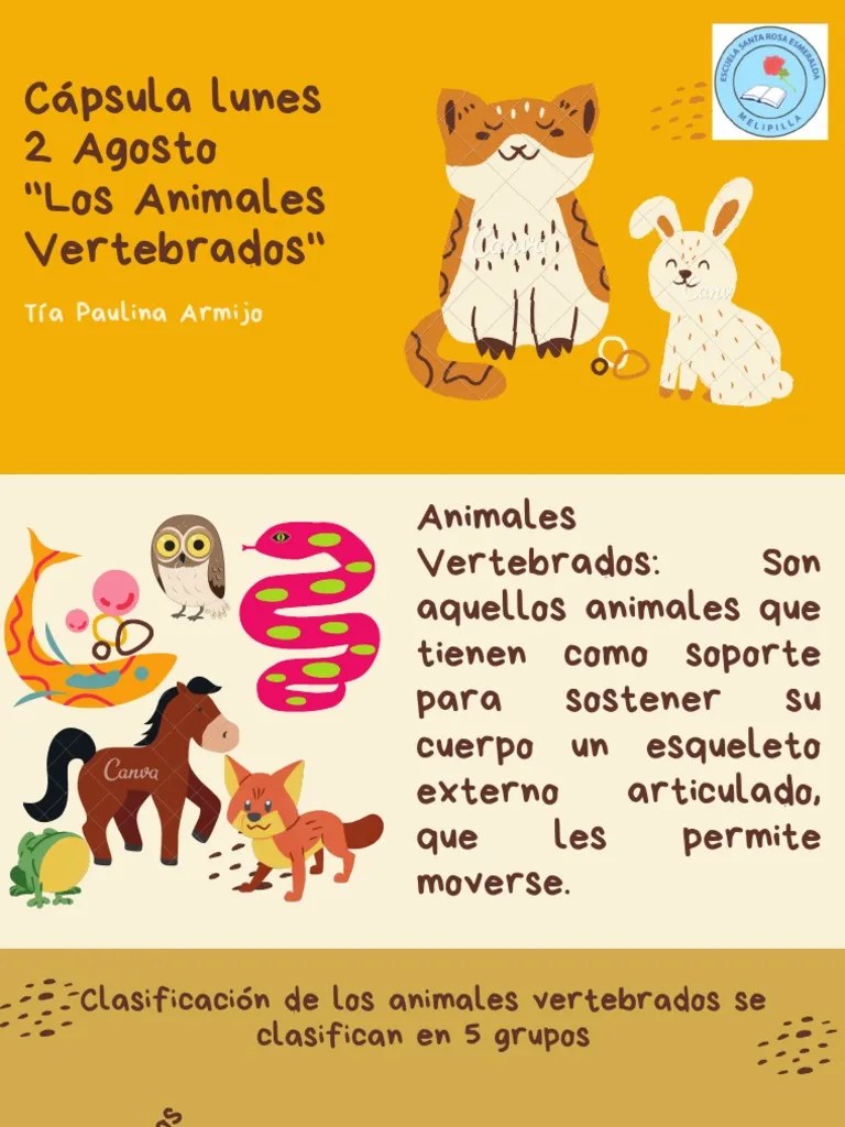 Los Cinco Grupos Principales De Animales Vertebrados | PDF | Reptil | Pescado