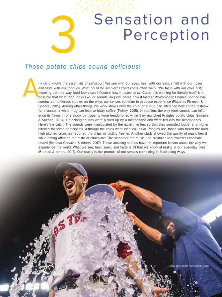 Chapter 3 - Sensation And Perception | Download Free PDF | Senses | Perception