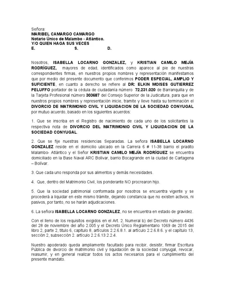 Poder Divorcio S3 MEJIA FinalLL | Descargar Gratis PDF | Divorcio | Propiedad De La Comunidad