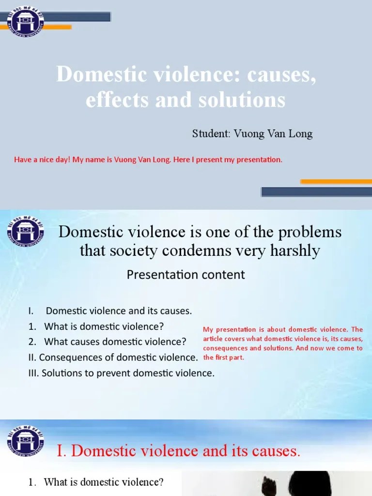 Domestic Violence: Causes, Effects And Solutions: Student: Vuong Van Long | Download Free PDF ...