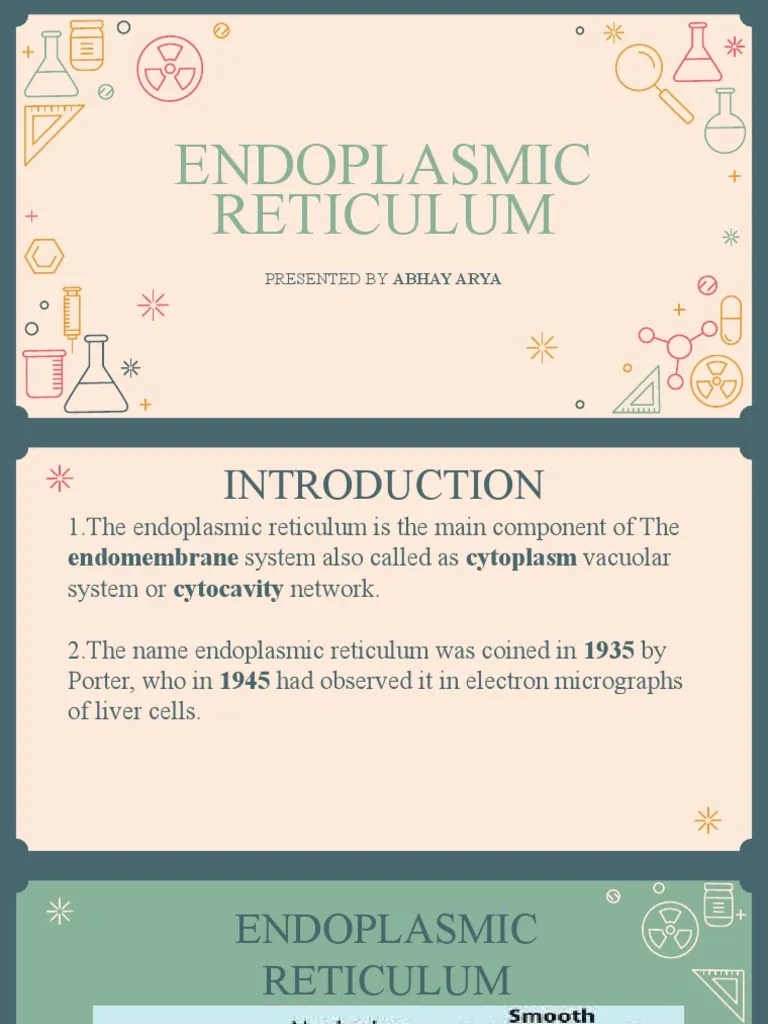The Structure And Functions Of The Endoplasmic Reticulum | PDF ...