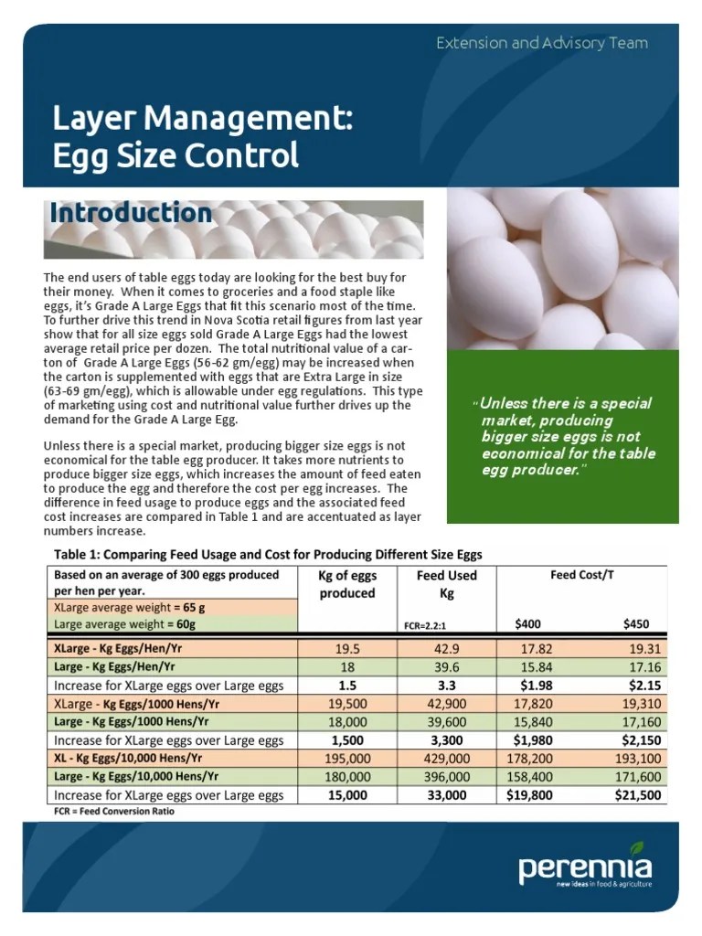 Layer Management | PDF | Fat | Egg As Food