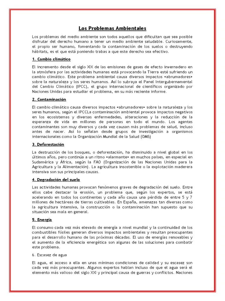 Los Problemas Ambientales | PDF | Entorno Natural | Contaminación
