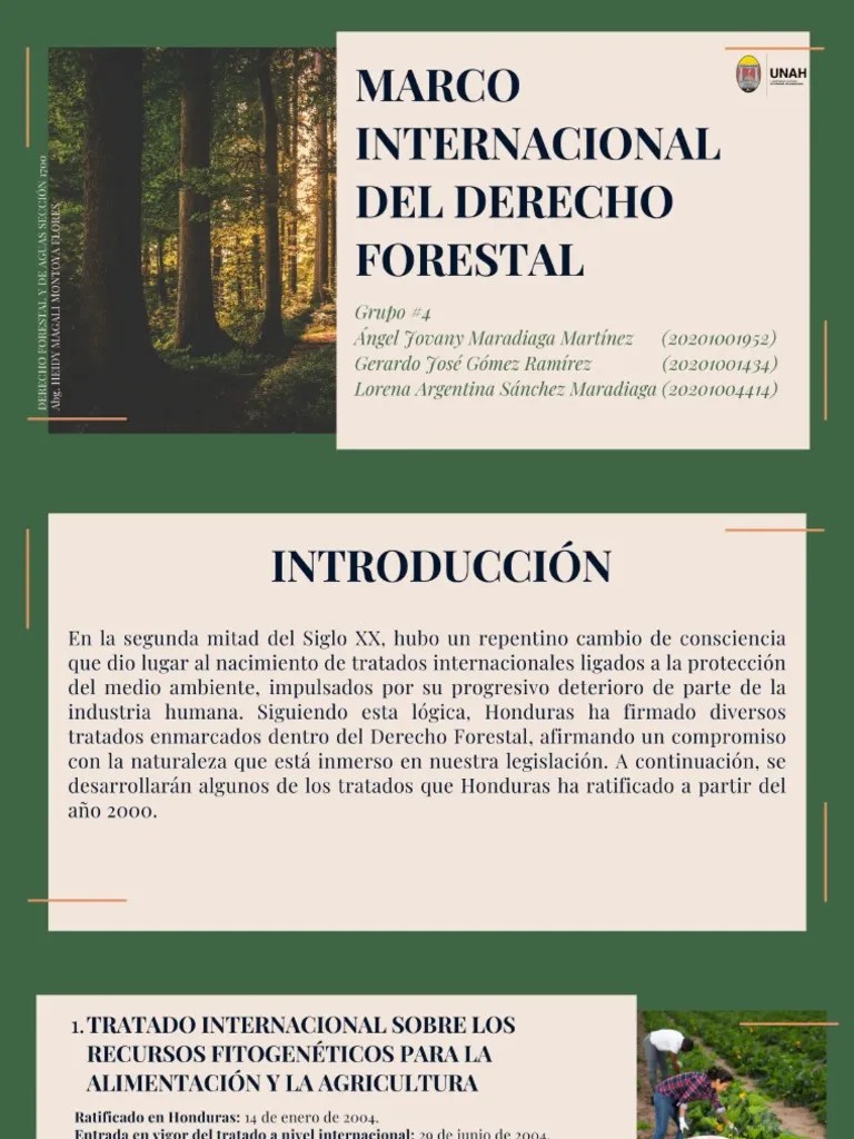 Marco Internacional Del Derecho Forestal (Grupo #4) - Derecho Forestal Y De Aguas - Sección 1700 ...