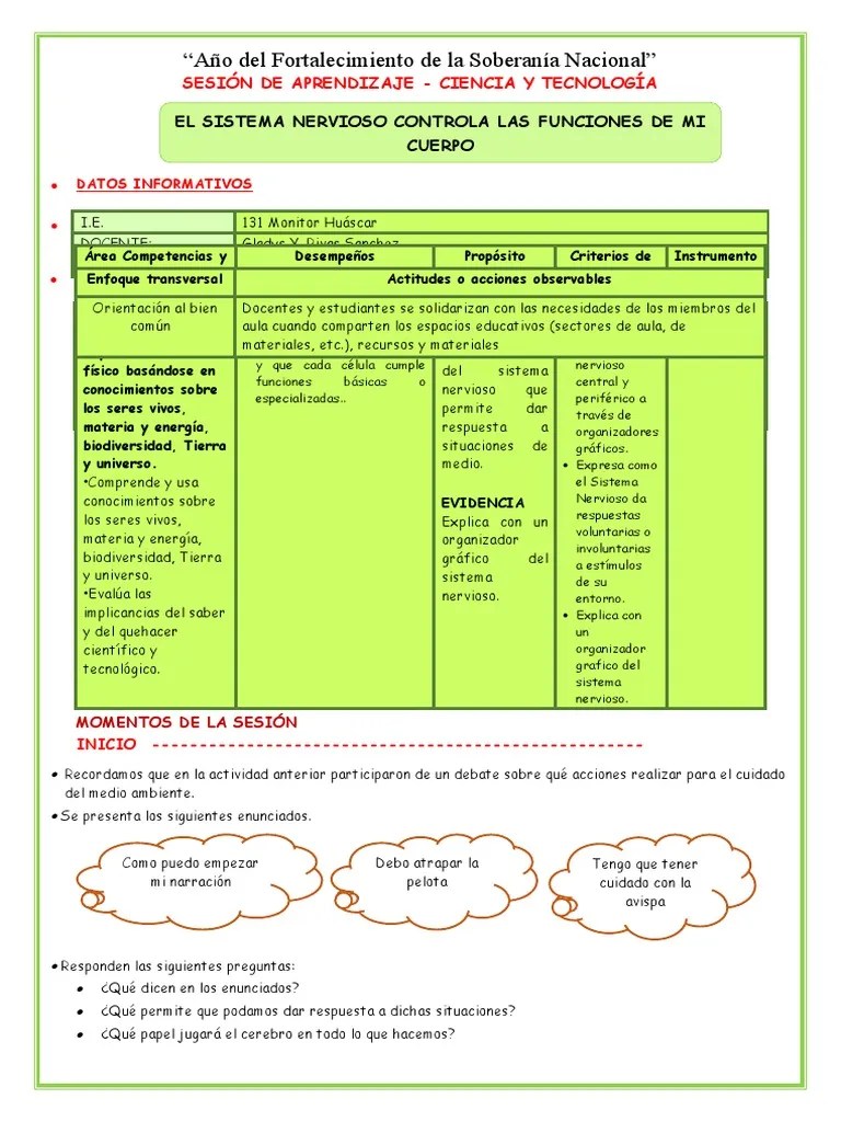 Sesión-Cyt-El Sistema Nervioso | PDF | Sistema Nervioso | Neurona