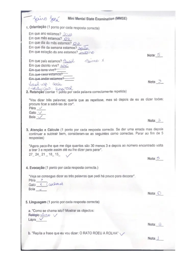 Mini Mental State Examination (MMSE) | PDF