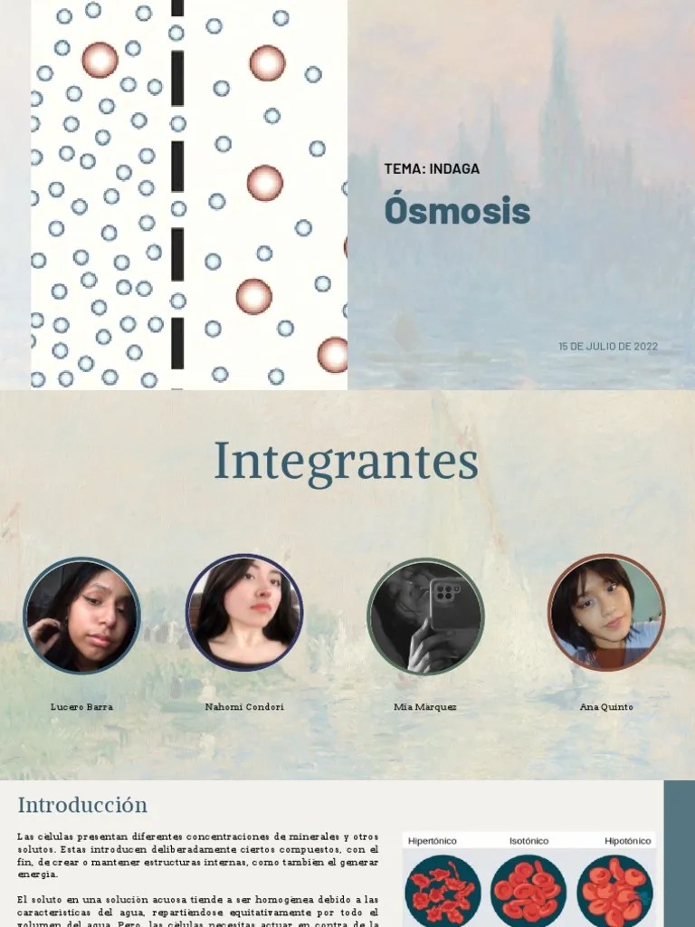 Ósmosis | PDF | Ósmosis | Bioquímica