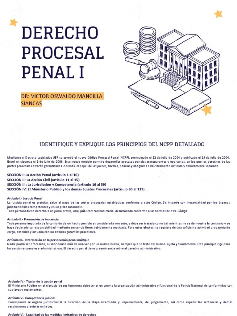 Los Principios Del NCPP | PDF | Ley Procesal | Derecho Penal