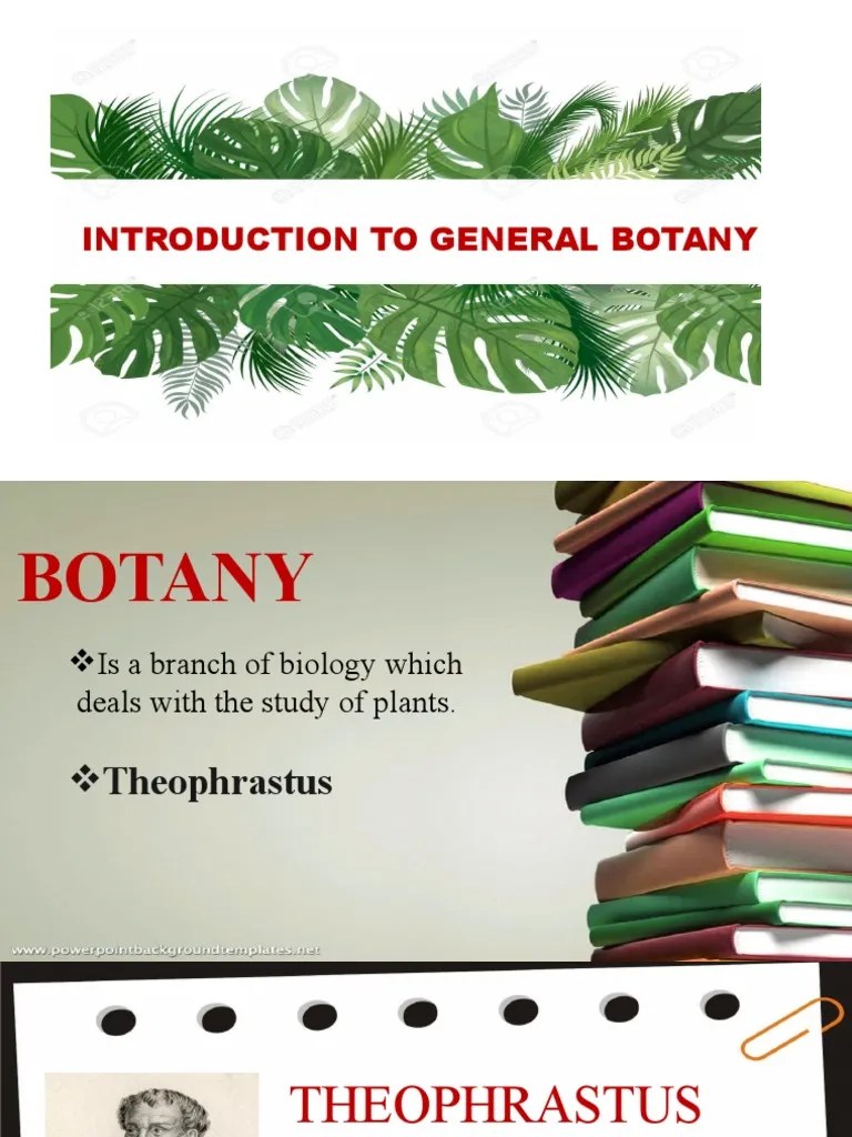 Introduction To General Botany | PDF | Plants | Botany