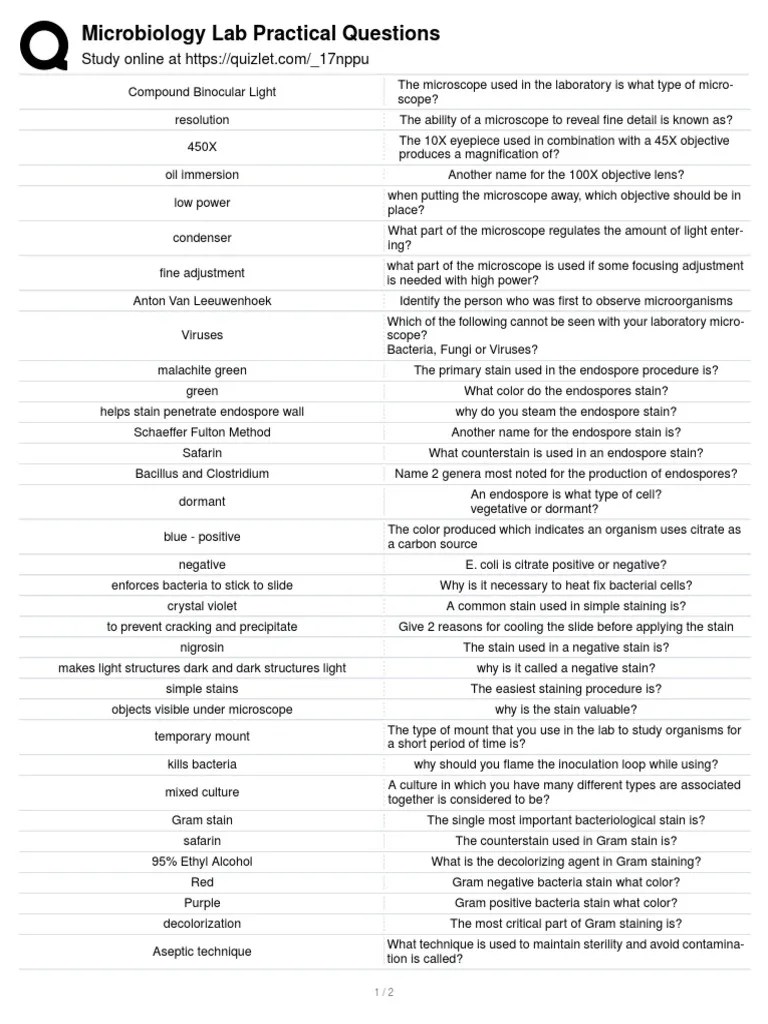 Microbiology Lab Practical Questions | PDF | Staining | Bacteria