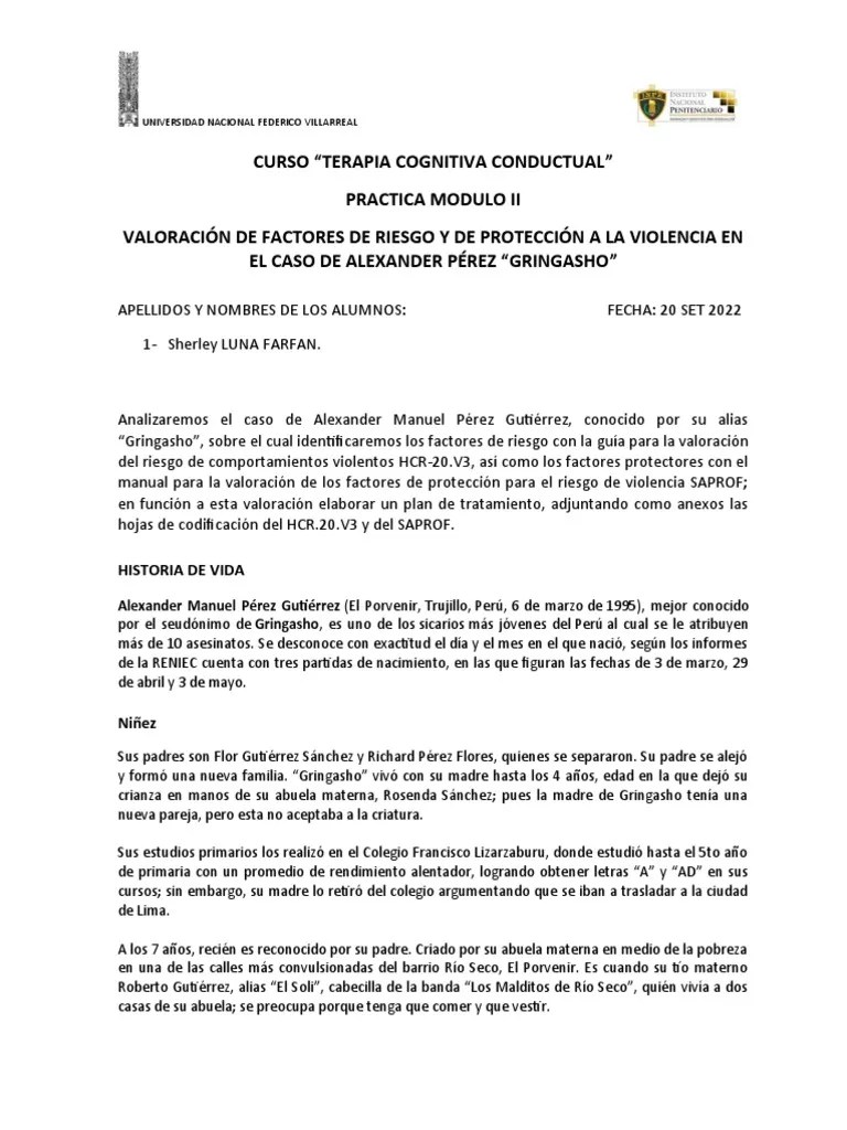 Practica Modulo II Factores De Riesgo Protección Y Gestion De Riesgo | PDF | Violencia | Prisión