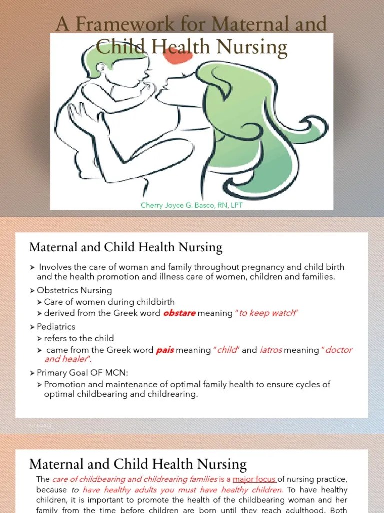 Framework For Maternal And Child Health Nursing Copy Final | Download Free PDF | Maternal Death ...