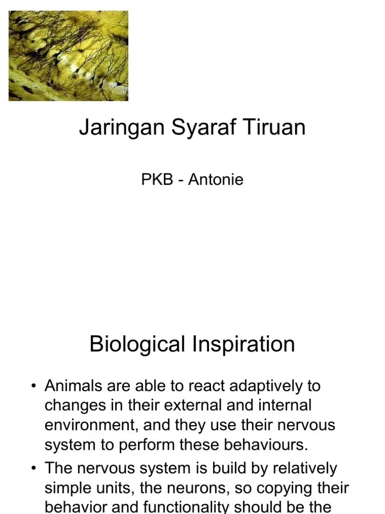 Dimasukkan contoh pelatihan ke dalam jaringan syaraf tiruan. Contoh Skripsi Jaringan Syaraf Tiruan - Rumah Nike x