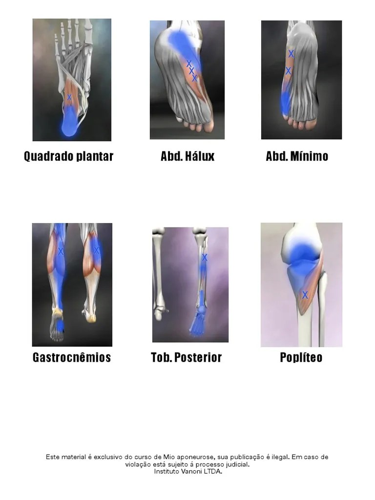 Manual - Ponto Gatilho | PDF | Ombro | Articulações