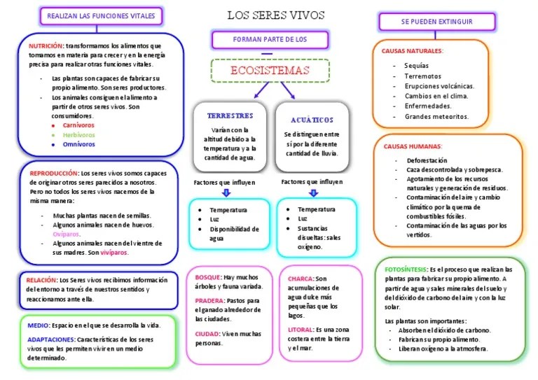 Tema 1 Los Seres Vivos | PDF | Agua | Plantas