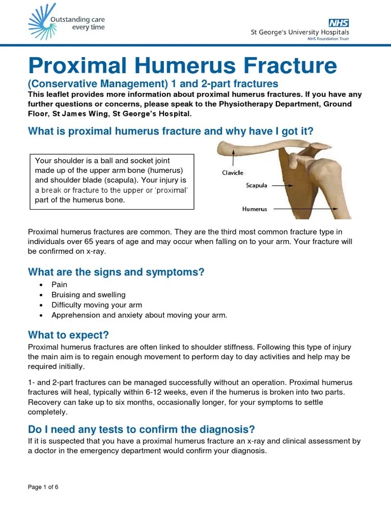 SGH Proximal Humerus Fracture | PDF