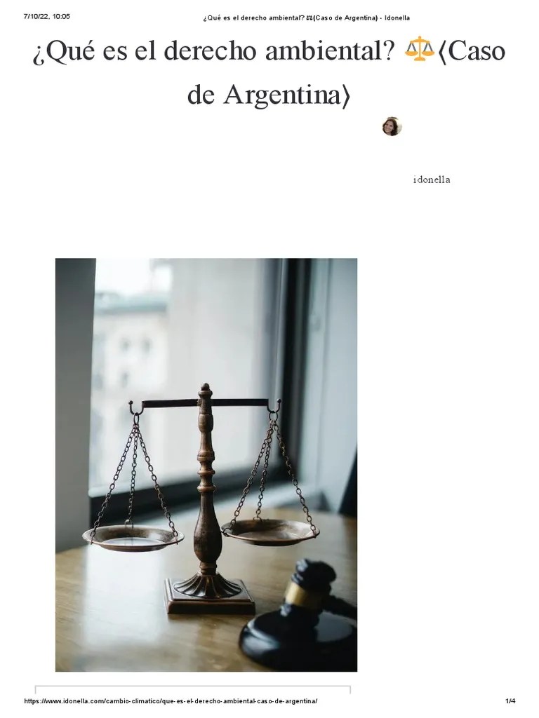 ¿Qué Es El Derecho Ambiental - Caso De Argentina - Idonella | PDF | Ley Del Medio Ambiente ...