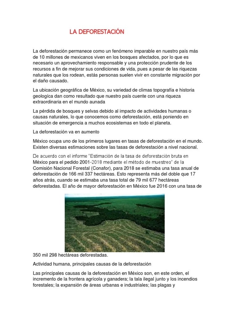 DEFORESTACIÓN | PDF | Deforestación | Los Bosques