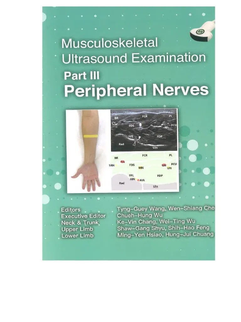 Peripheral Nerves | PDF