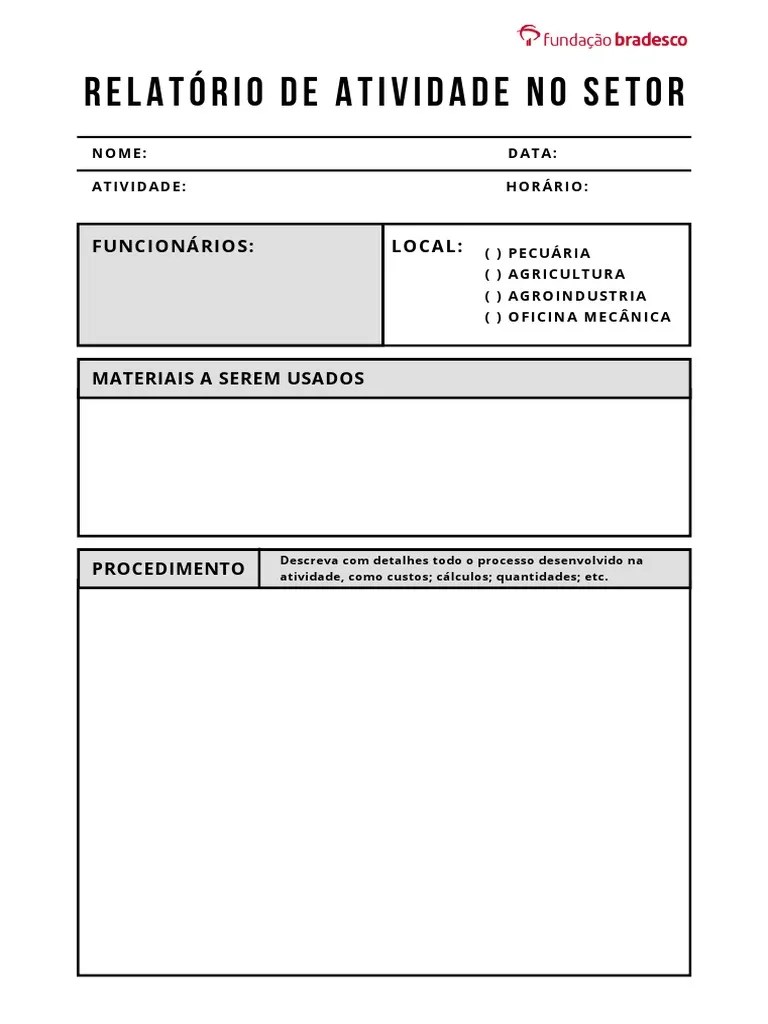 Relatório De Atividades No Setor | PDF