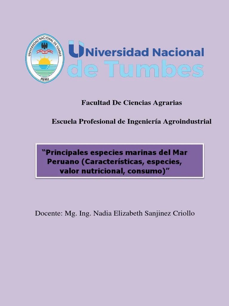 Principales Especies Del Mar Peruano | PDF