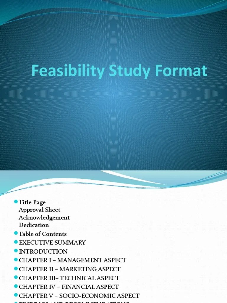 Feasibility Study Format | PDF | Feasibility Study | Marketing