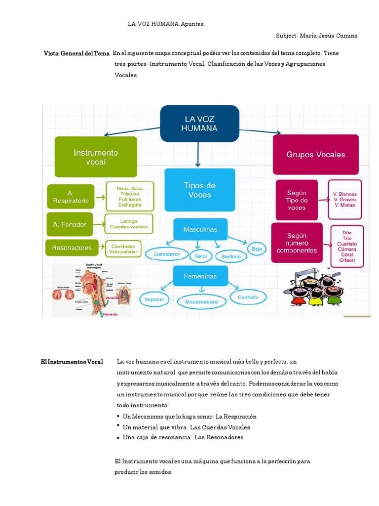 La Voz Humana Apunte V2 | Descargar Gratis PDF | Coro | Respiración
