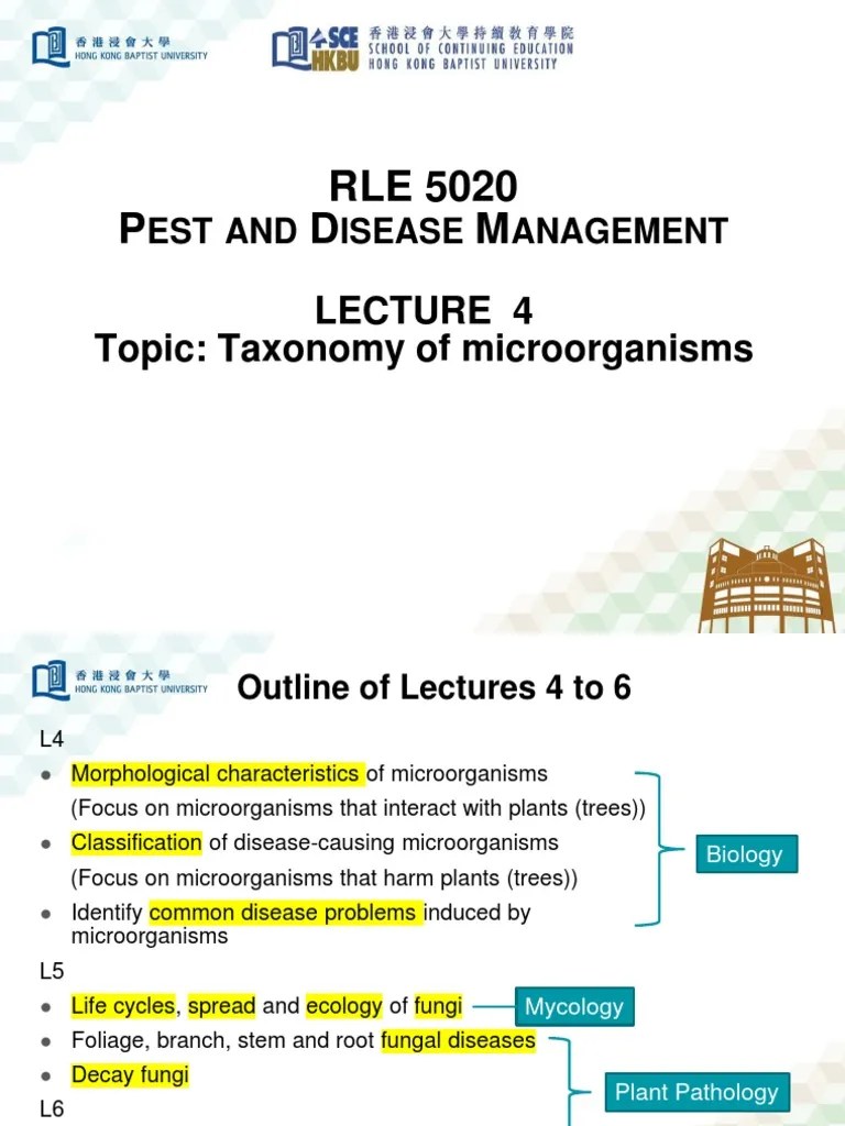 Lecture 4 Taxonomy Of Microorganisms 202203 | PDF | Plant Pathology ...
