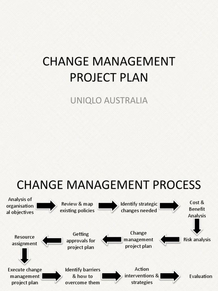 Change Management Plan | PDF | Change Management | Target Audience