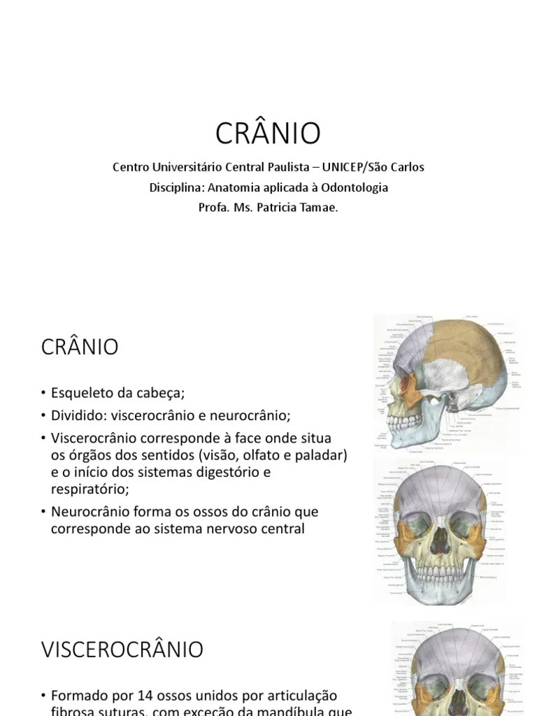 Aula 1 - Ossos Do Crânio | PDF