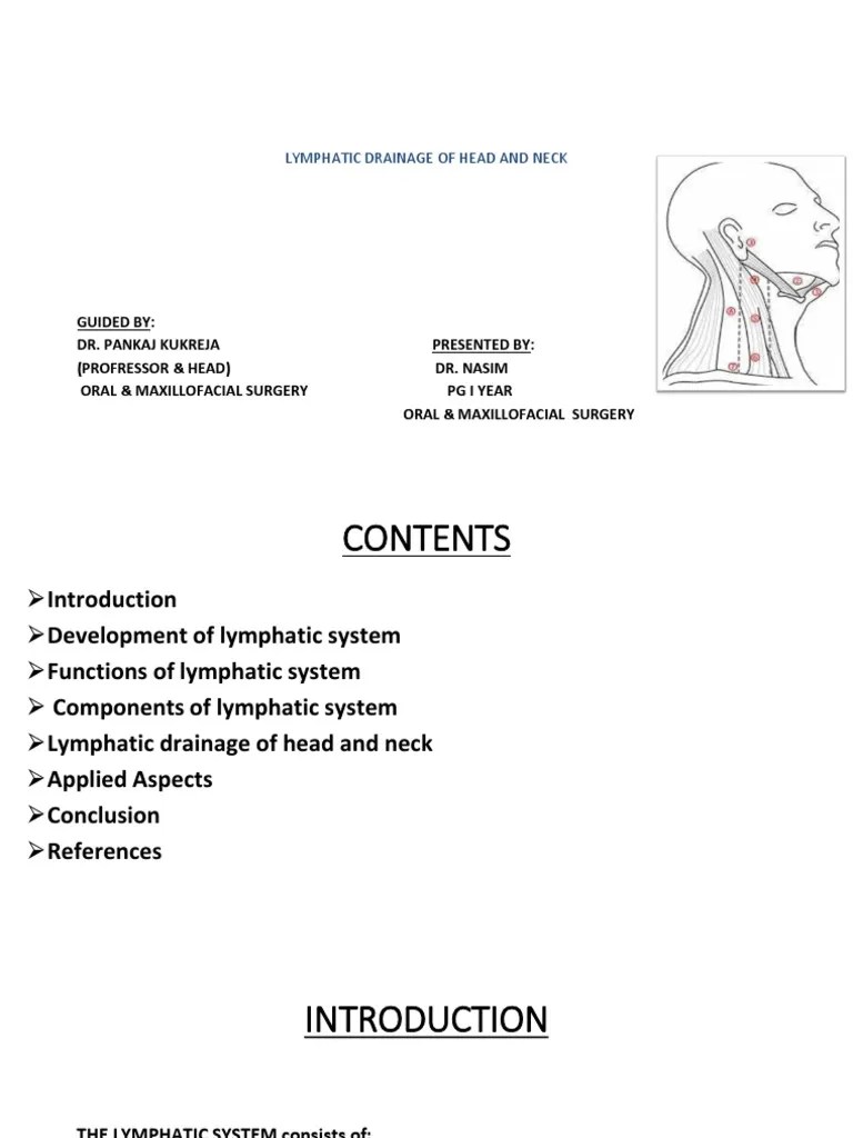 Lymphatic Drainage Of Head And Neck | PDF | Lymphatic System | Lymph Node