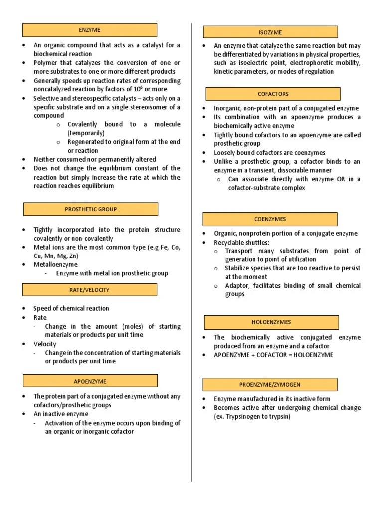 ENZYMES | PDF | Enzyme | Enzyme Inhibitor
