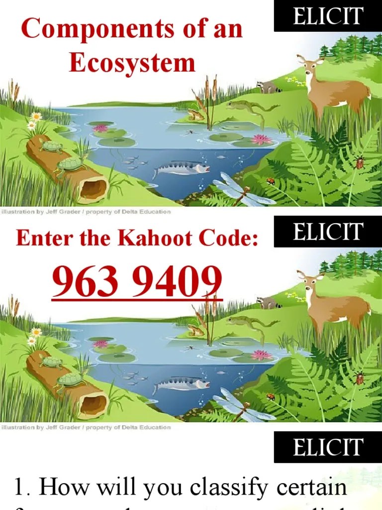 Ecological Relationships | PDF | Ecosystem | Ecology