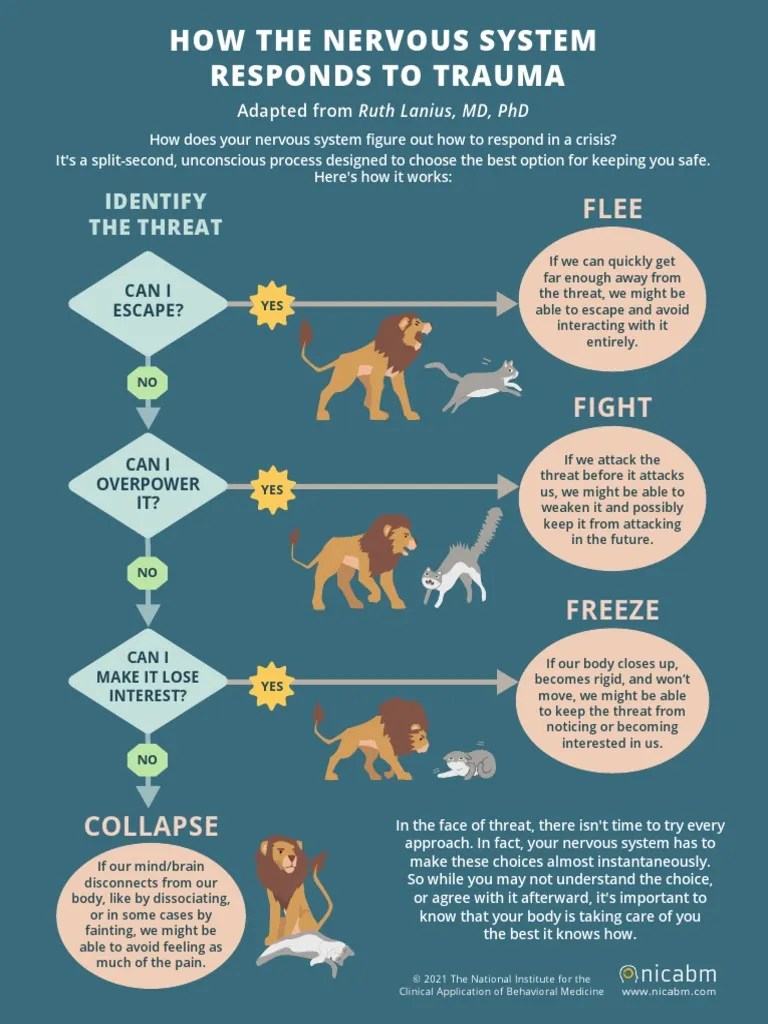 NICABM InfoG How+the+Nervous+System+Responds+to+Trauma Color | PDF ...