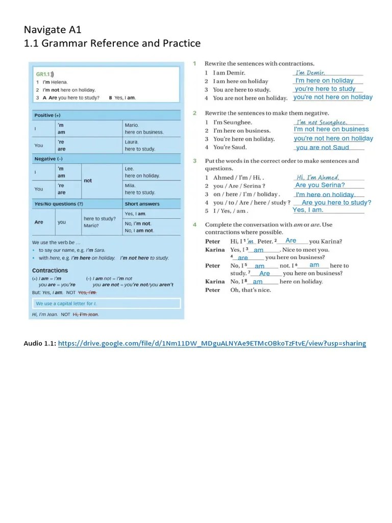1.1 Grammar Reference And Practice | PDF