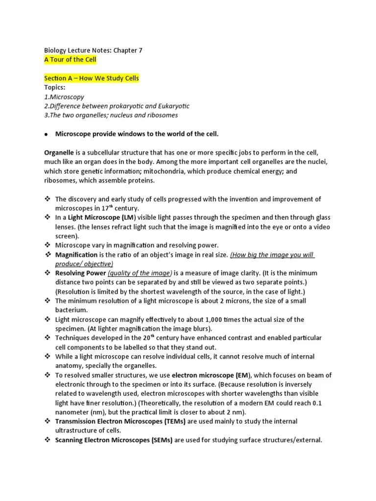 Biology Lecture Notes Chapter 7 | PDF | Cell Nucleus | Cell (Biology)