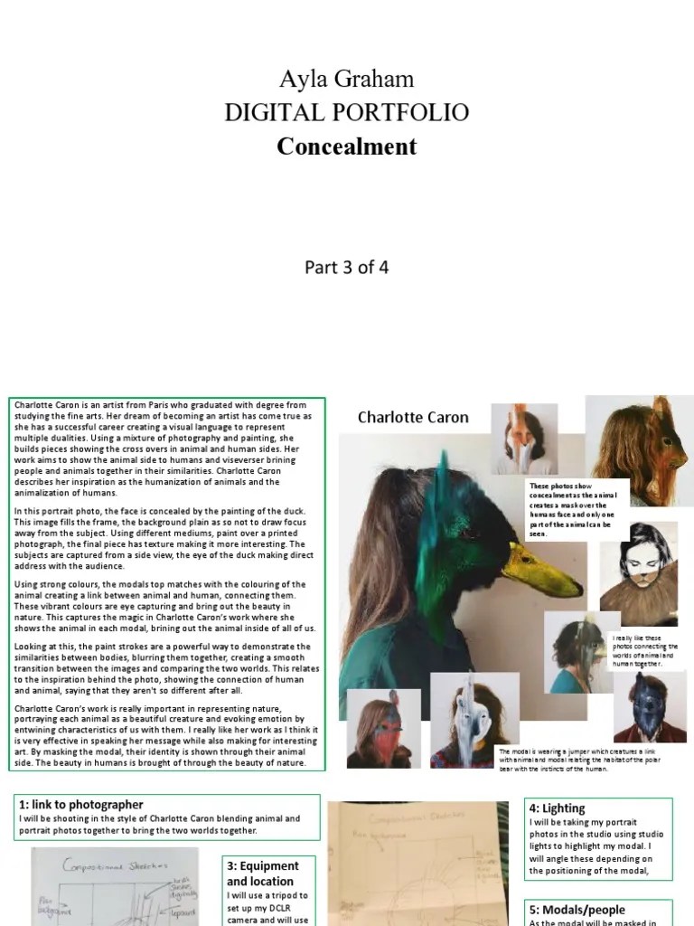 Portfolio 3 PDF | Download Free PDF | Photograph | Paintings