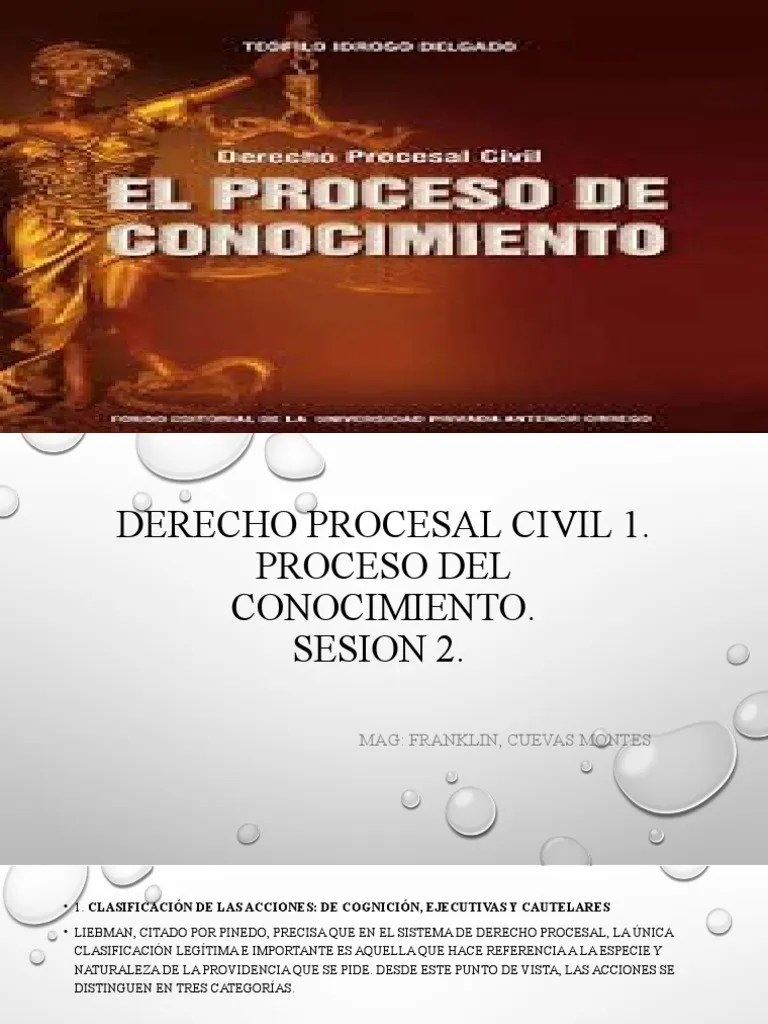 Derecho Procesal Civil 1 | PDF | Ley Procesal | Ley Constitucional
