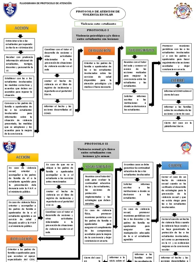 Flujograma De Protocolo De Atención. | PDF | Violencia | Policía