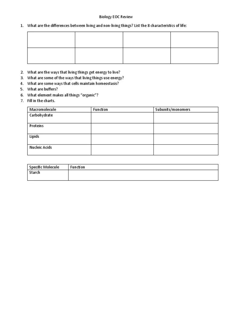 Biology EOC Review: A Comprehensive Guide To Key Concepts And Processes In Cell Biology ...