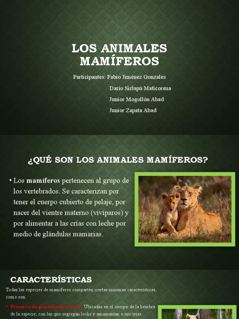 Los Animales Mamíferos | PDF