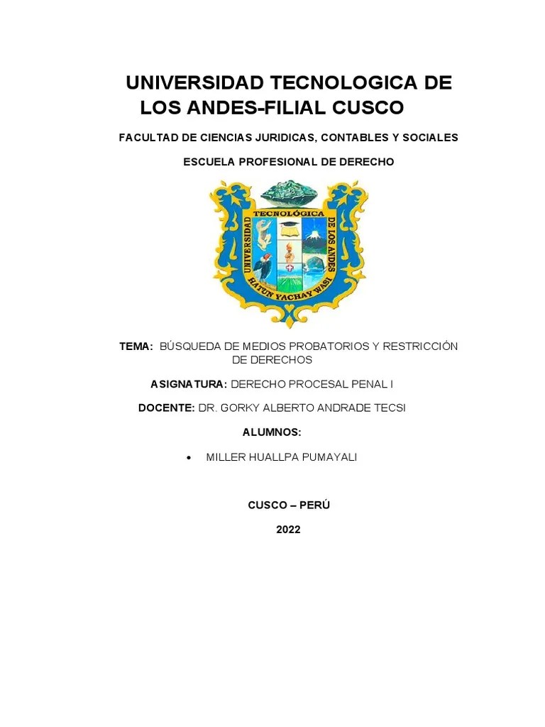 Libro La Busqueda De Prueba Y Restriccion De Derechos Fundamentales - Modern Vintage Pattern - HD