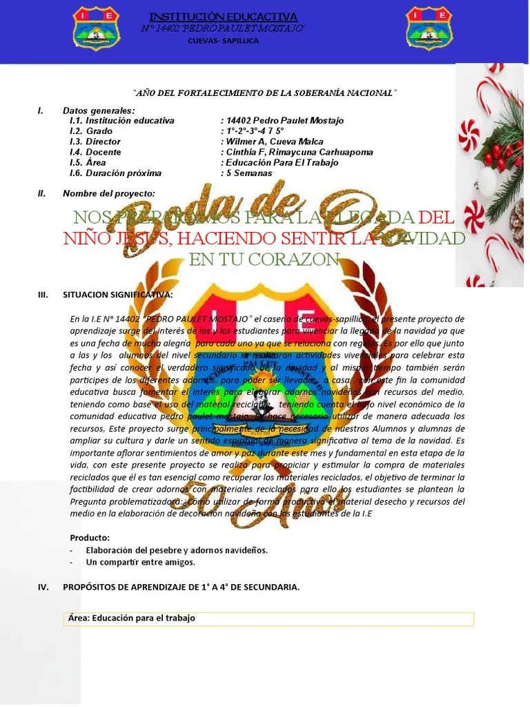 Proyecto navidad